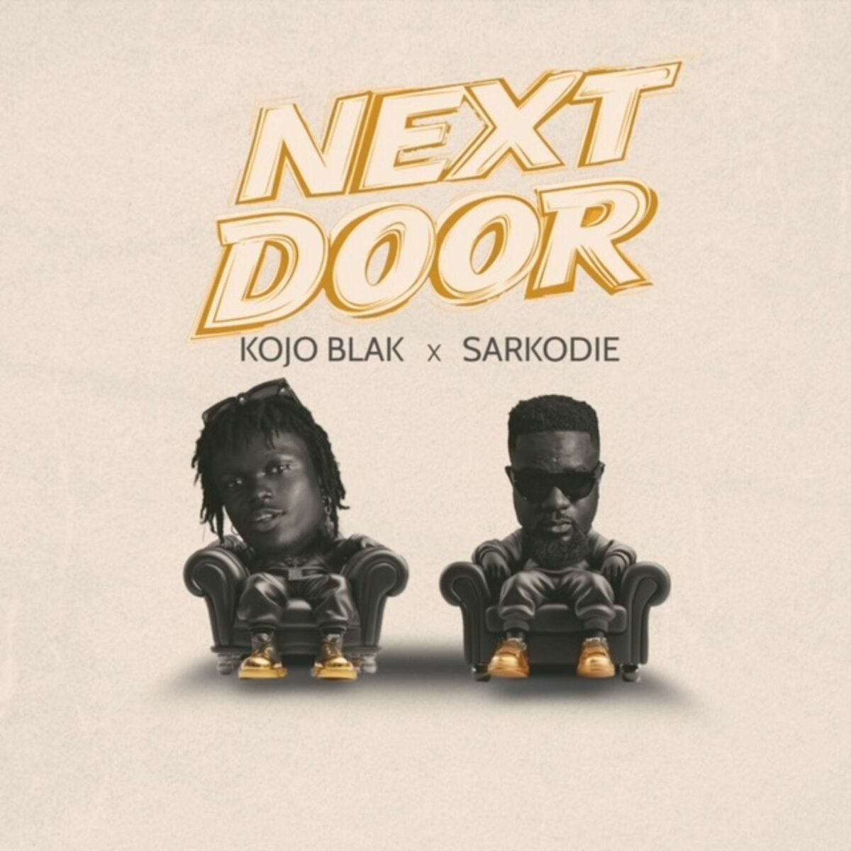 Album cover of NEXT DOOR