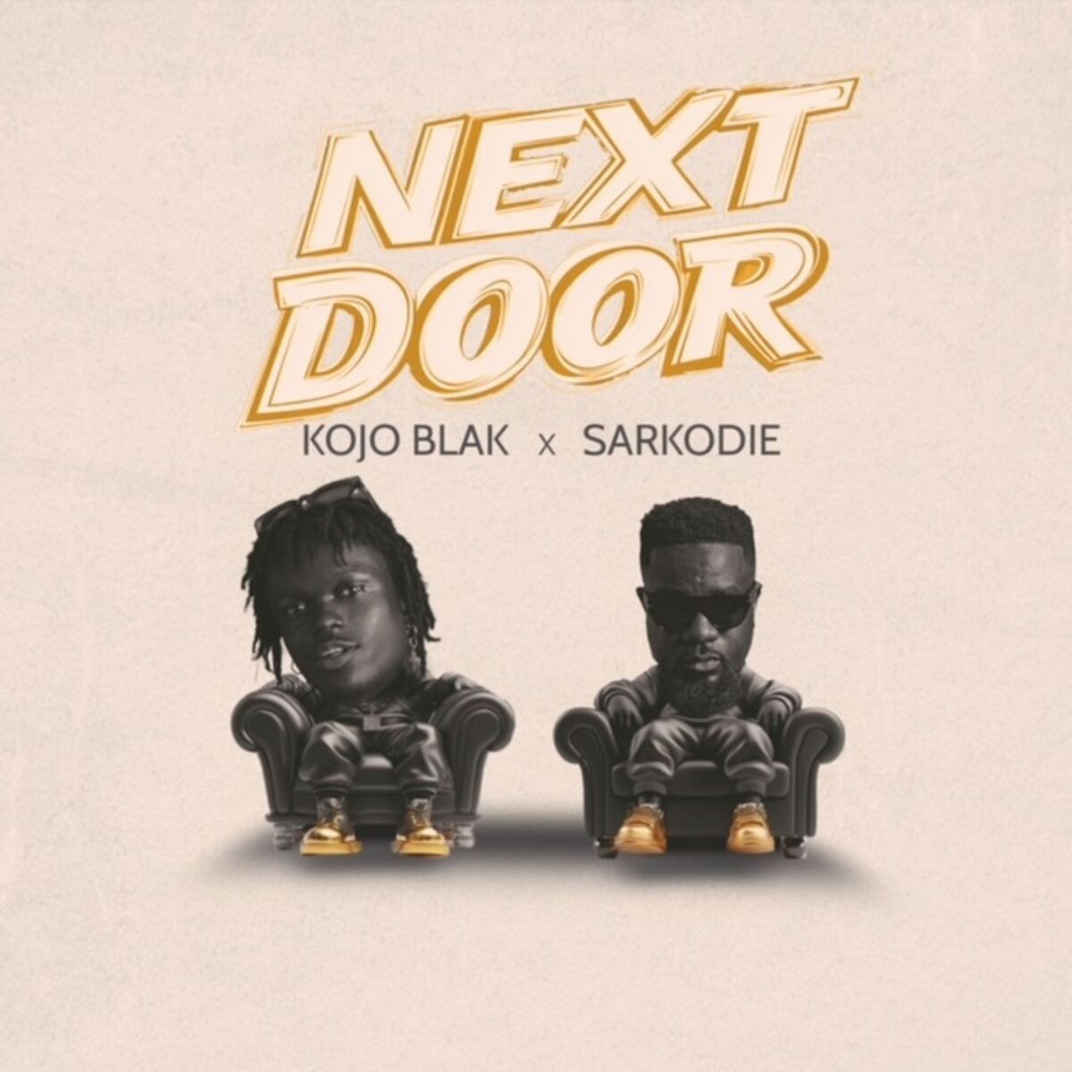 Album cover of NEXT DOOR