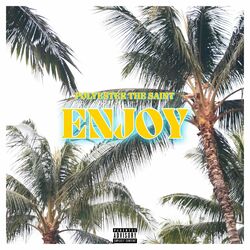 Cover of Enjoy