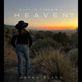 What if There's a Heaven?