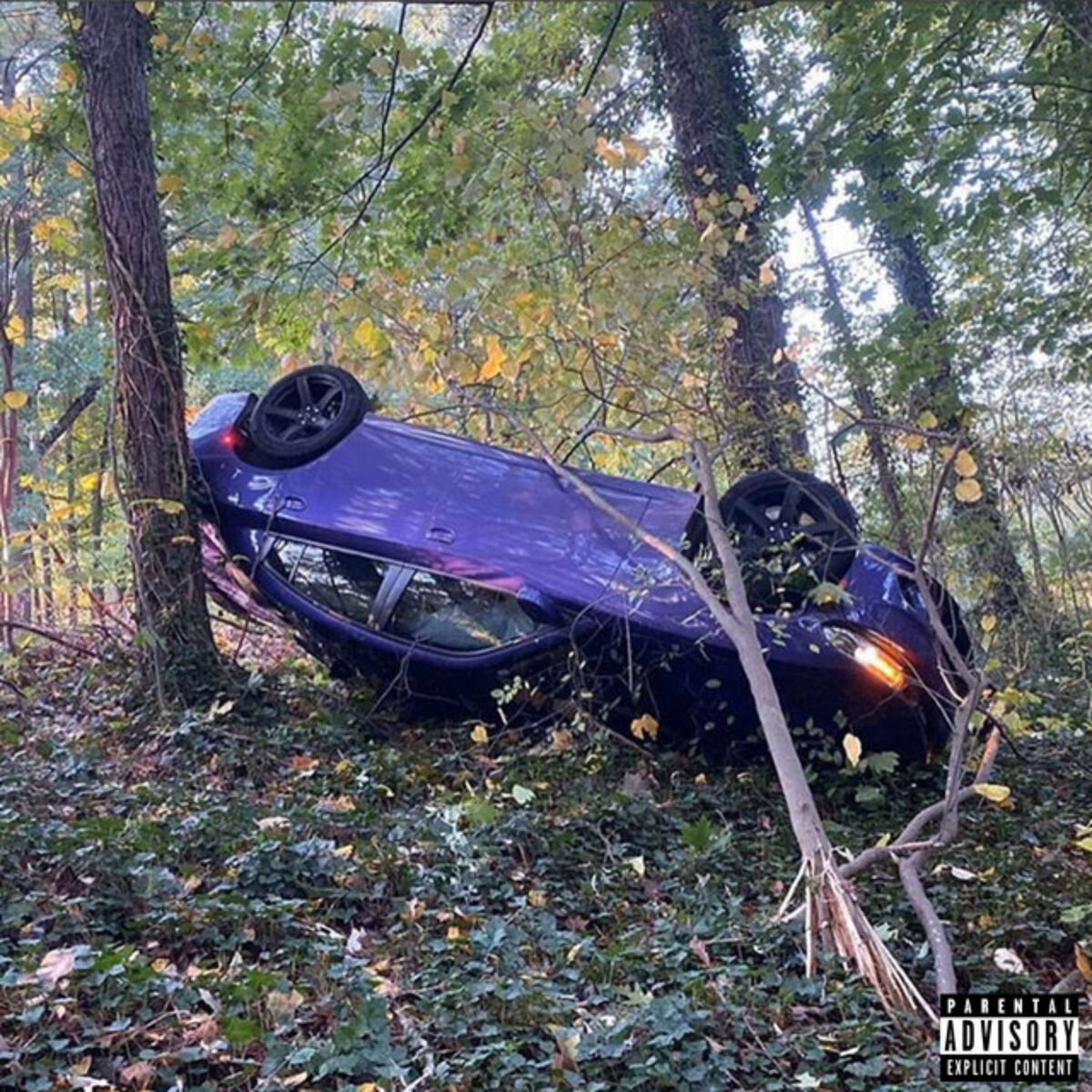 Album cover of Dolo