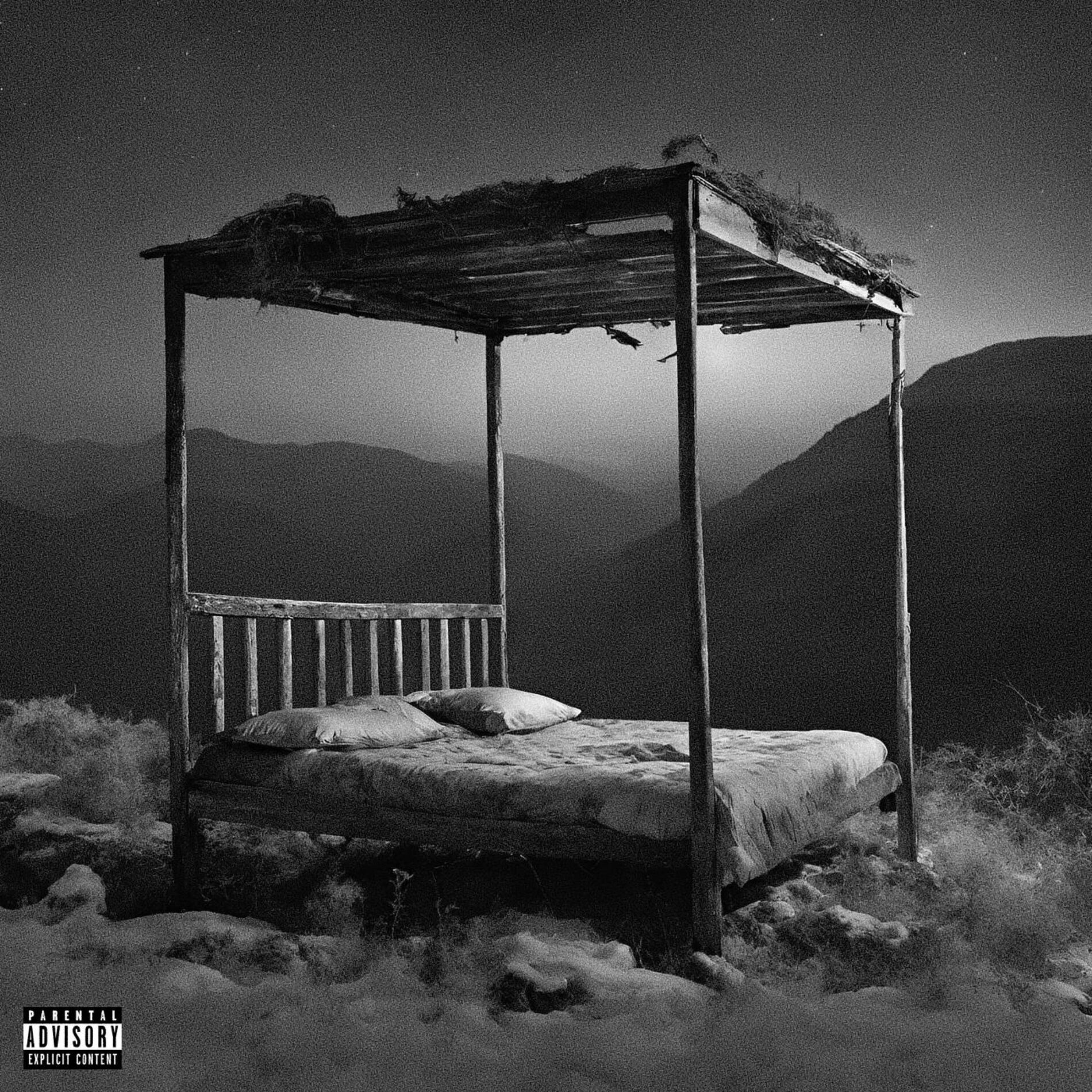 Album cover of insomnia (sped up + slowed)