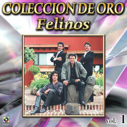 Cover of Colección de Oro, Vol. 1