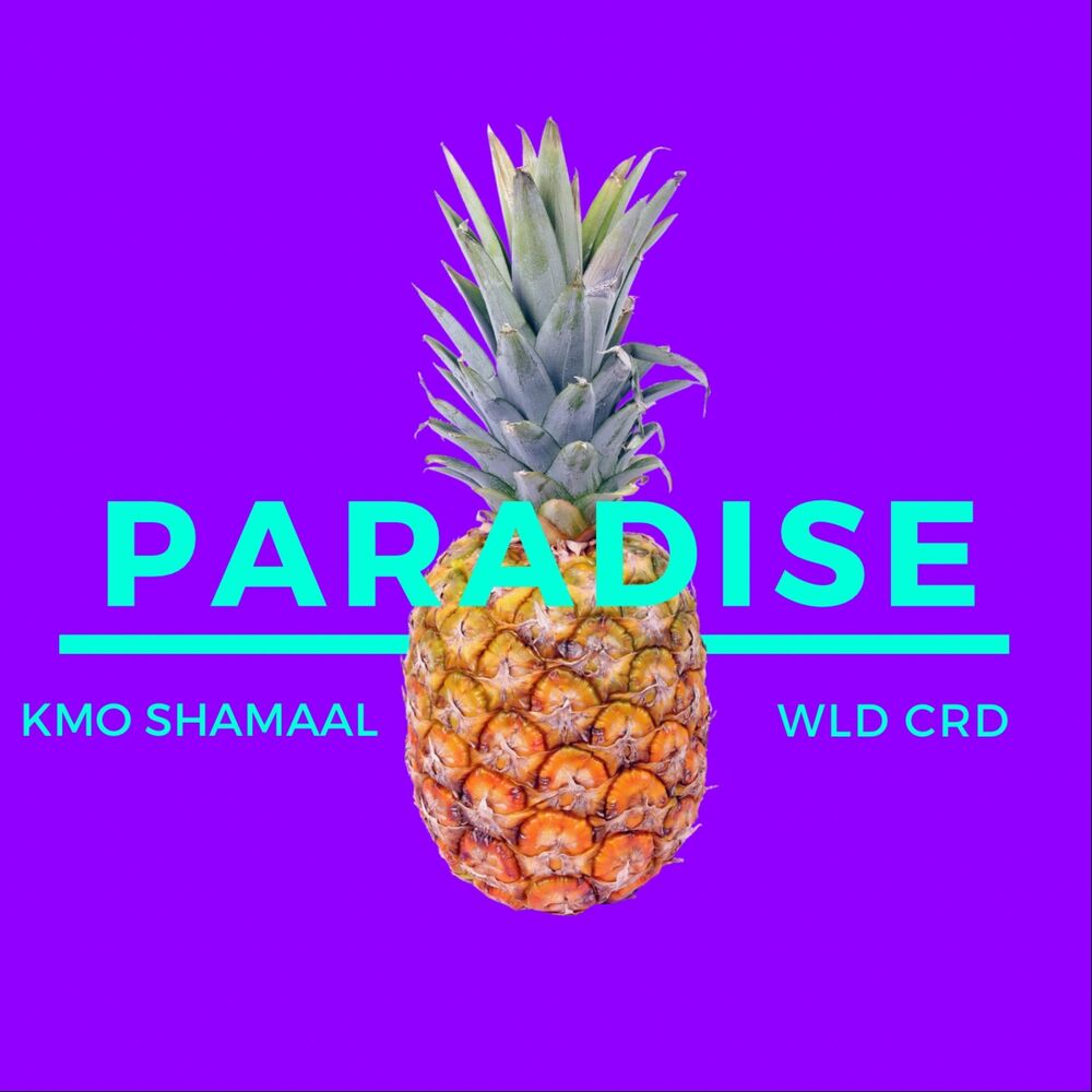 Picture of Paradise (feat. WLD CRD)