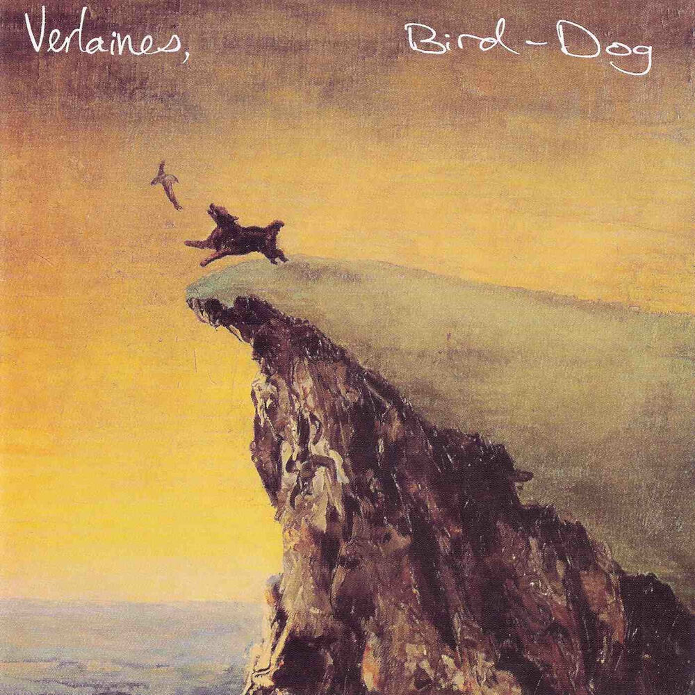 Picture of Bird Dog