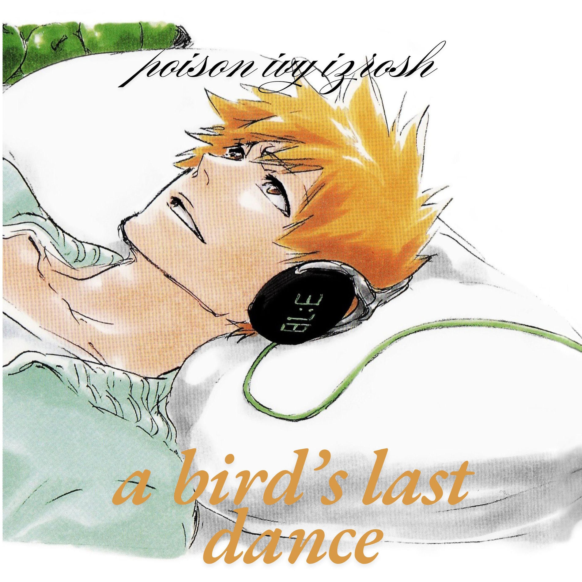 Album cover of a bird's last dance