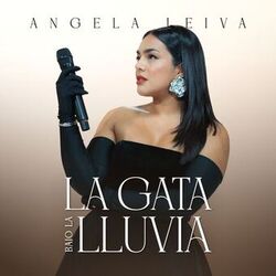 music cover