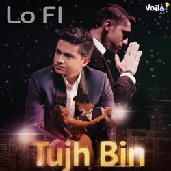 Cover of Tujh Bin (Lo-Fi)