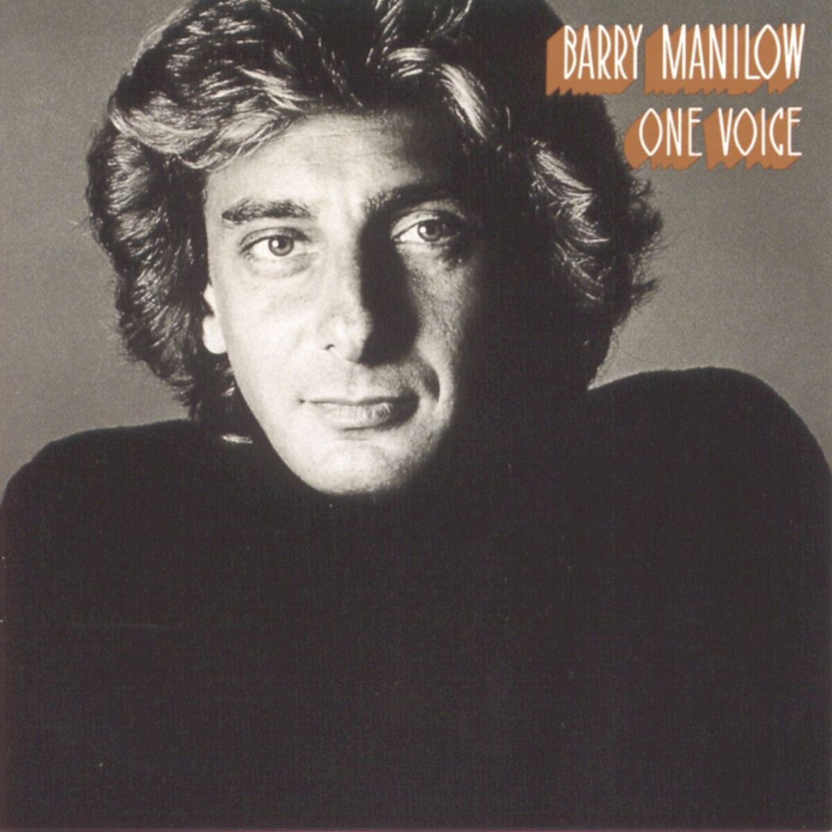 Album cover of One Voice
