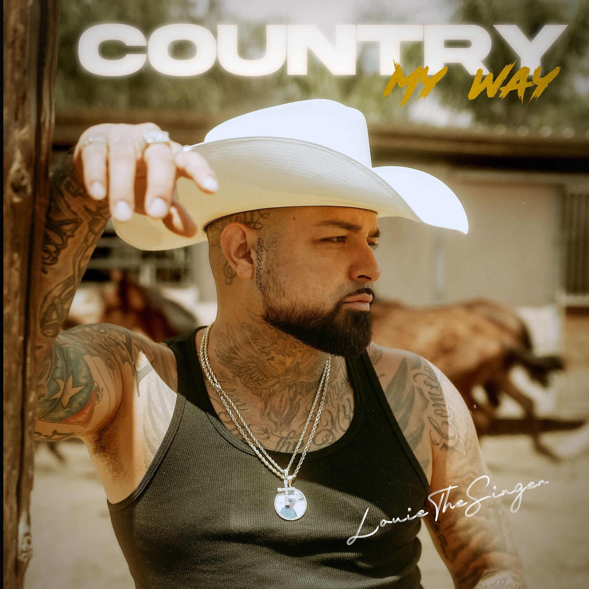 Album cover of Country My Way