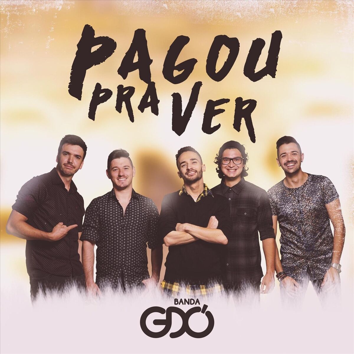 Album cover of Pagou Pra Ver