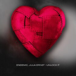 Cover of Unlock It
