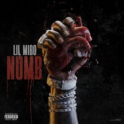 Cover of Numb