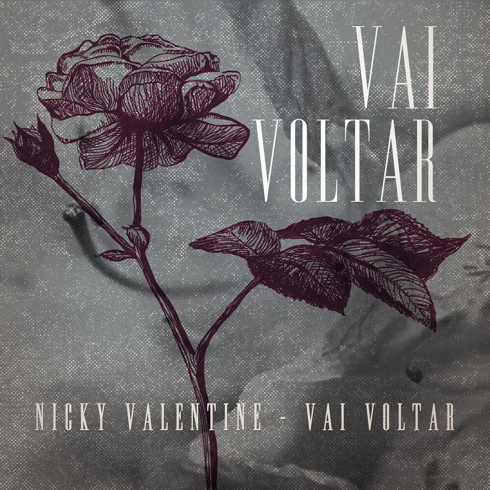 Picture of Vai Voltar