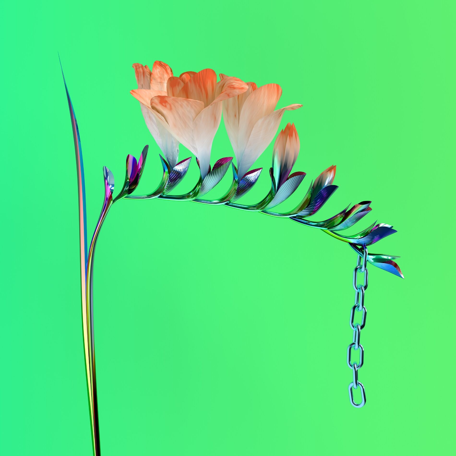 Album cover of Skin Companion EP I