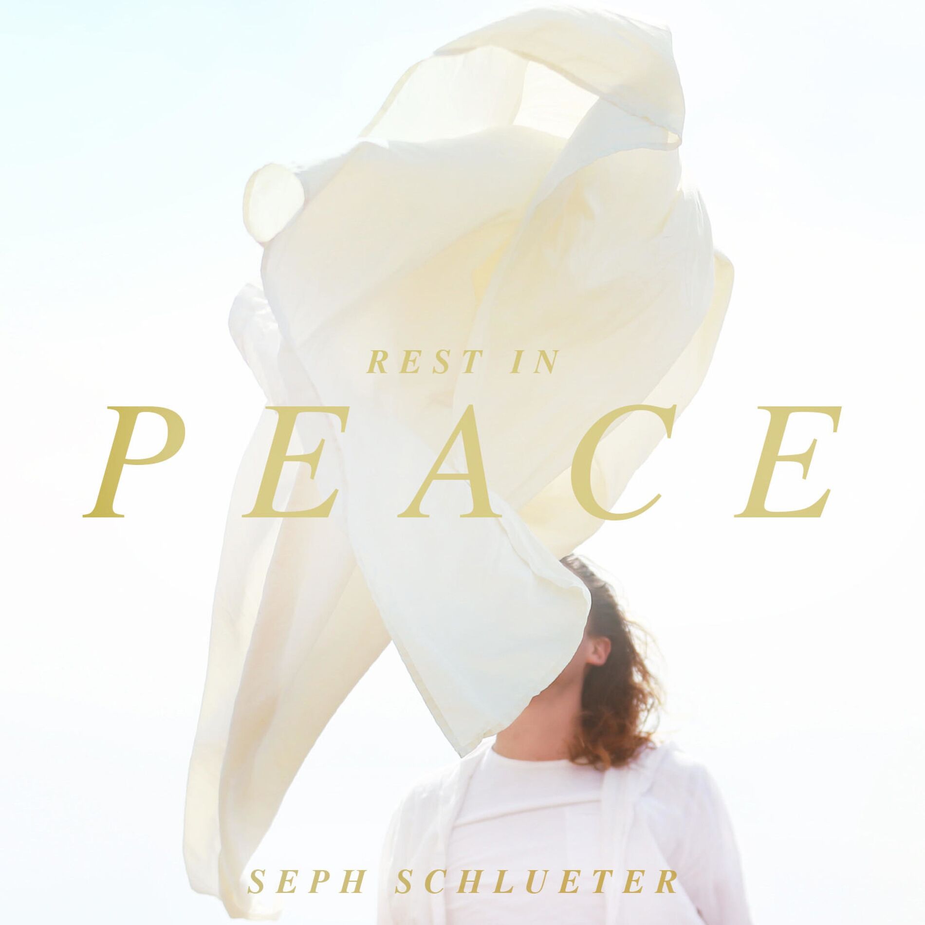 Album cover of Rest In Peace