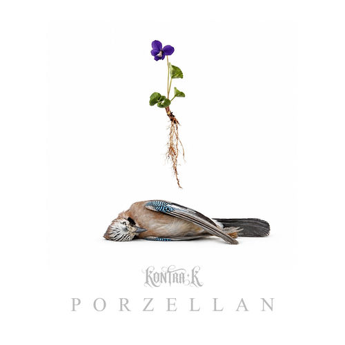 Porzellan