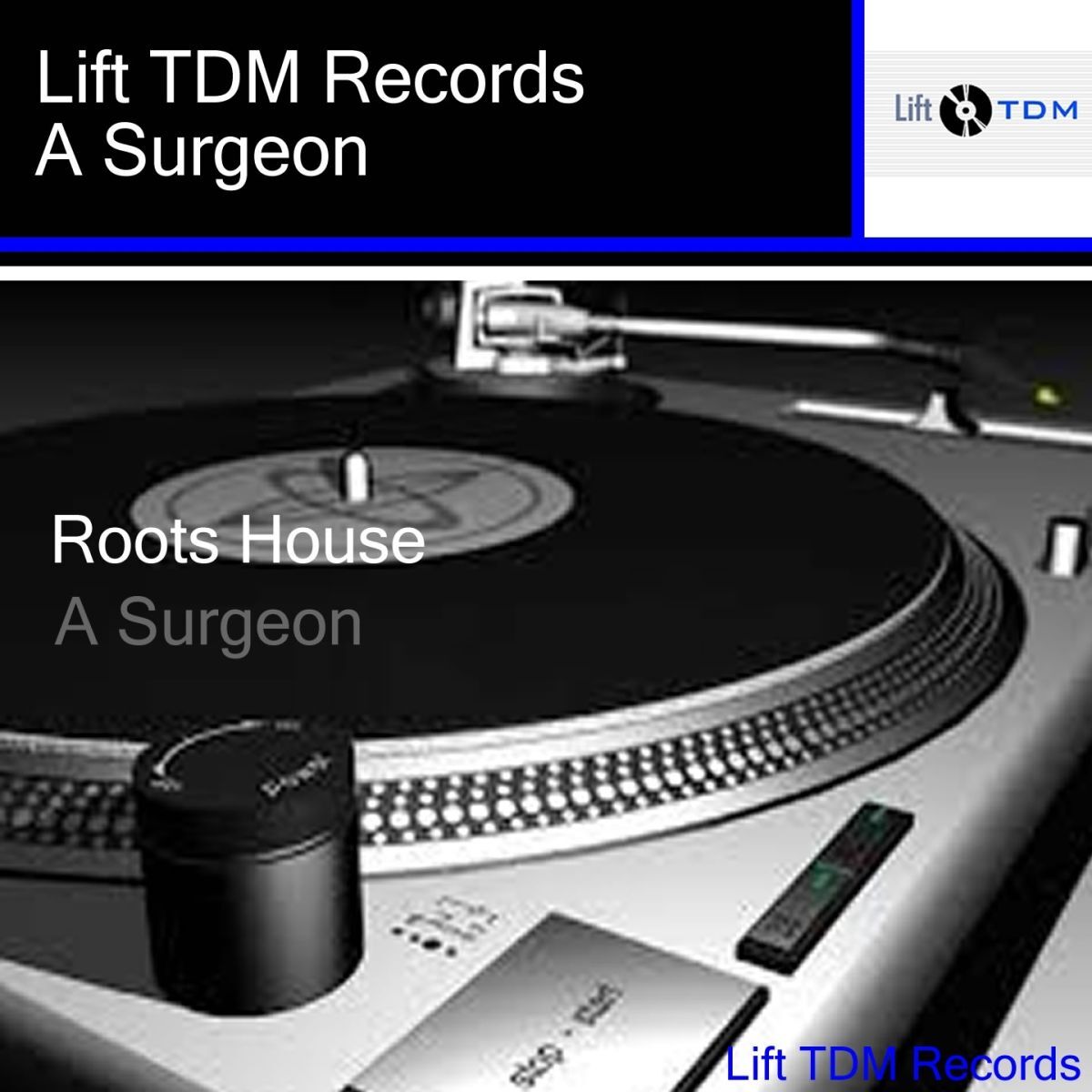 Album cover of Roots House