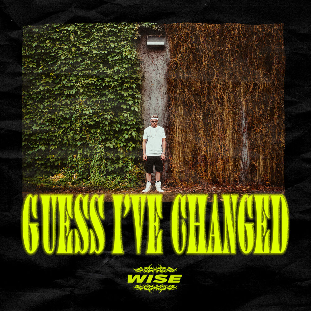 Picture of Guess I've Changed