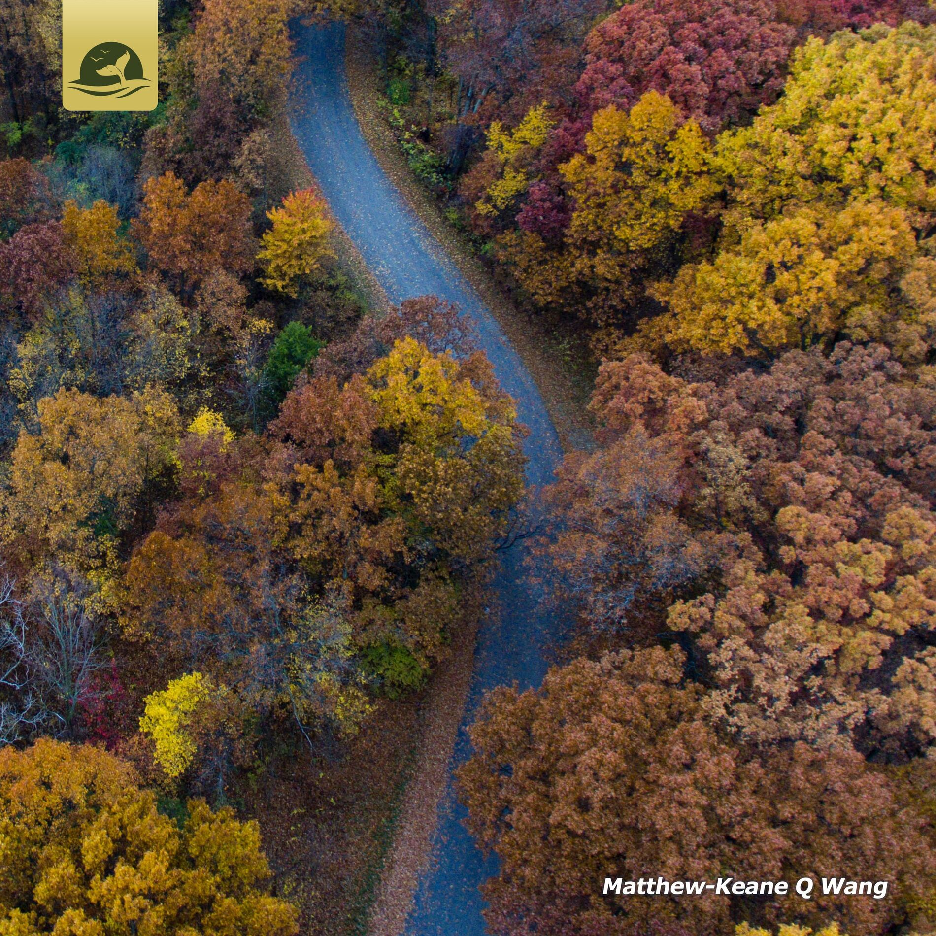 Album cover of The Road Always Changes