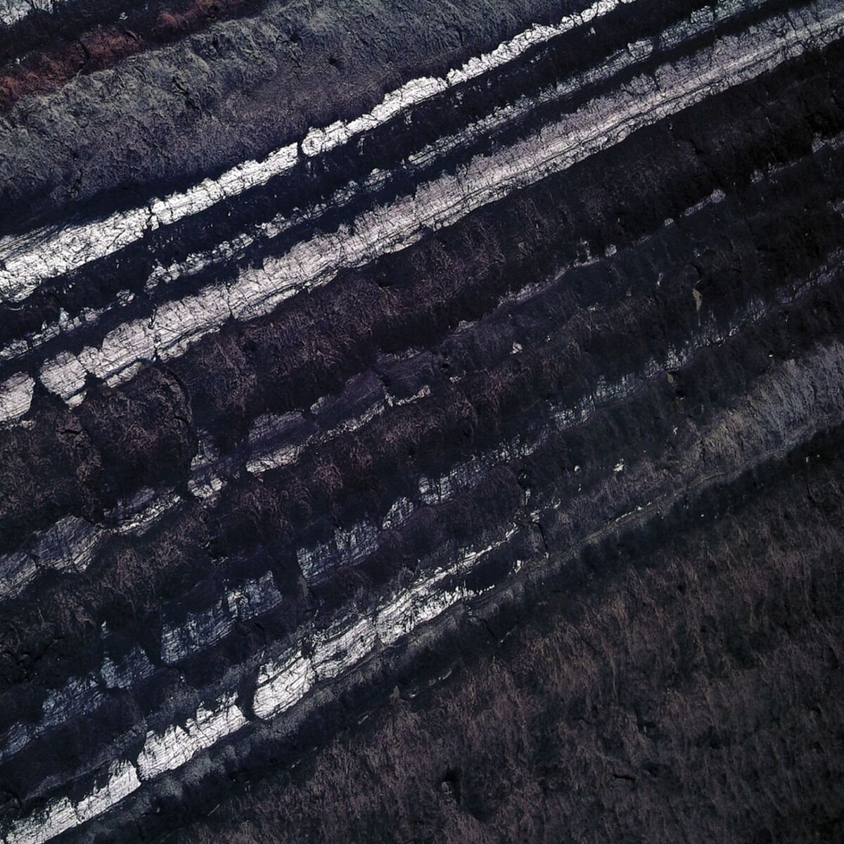 Album cover of Pessimiste(s)