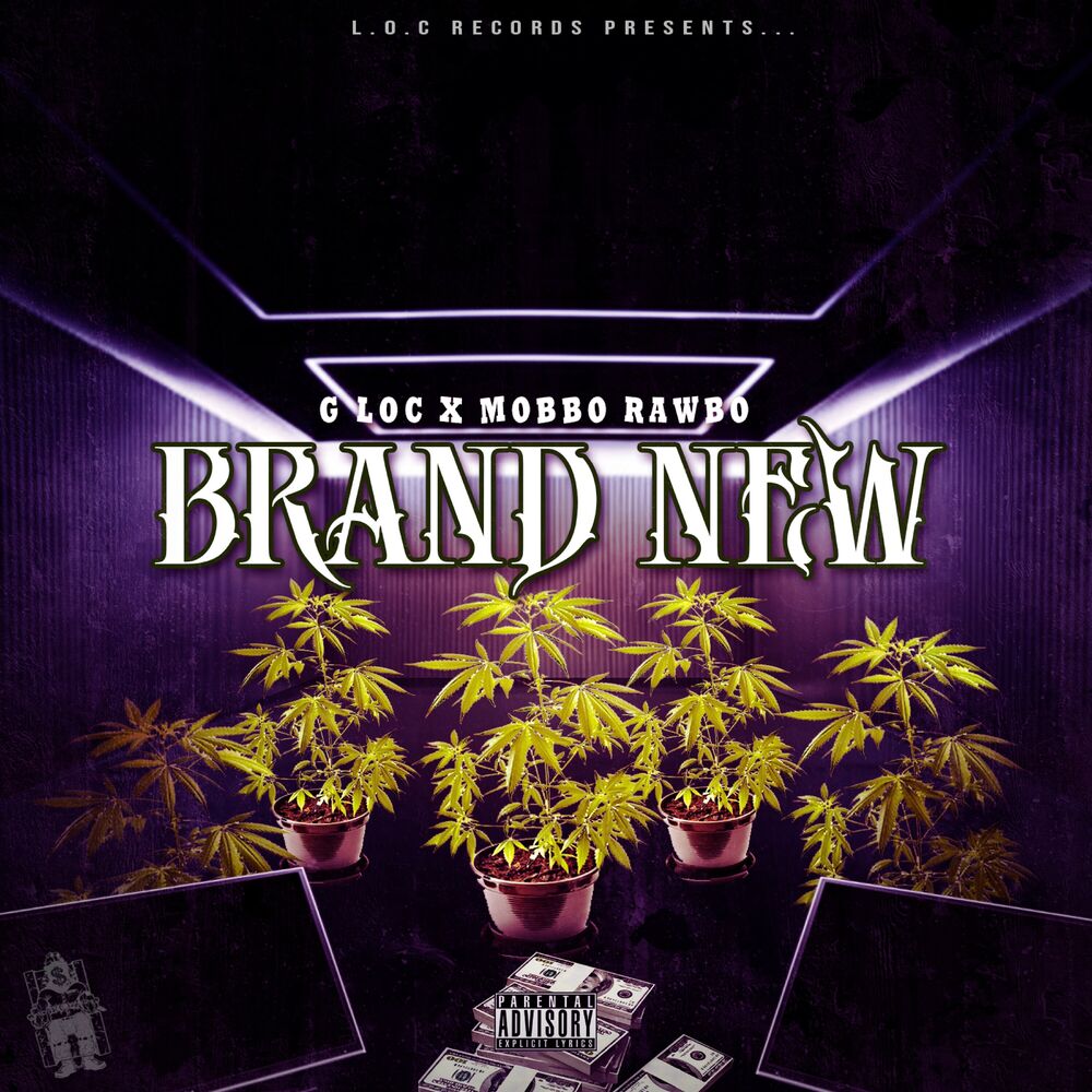 Picture of Brand New