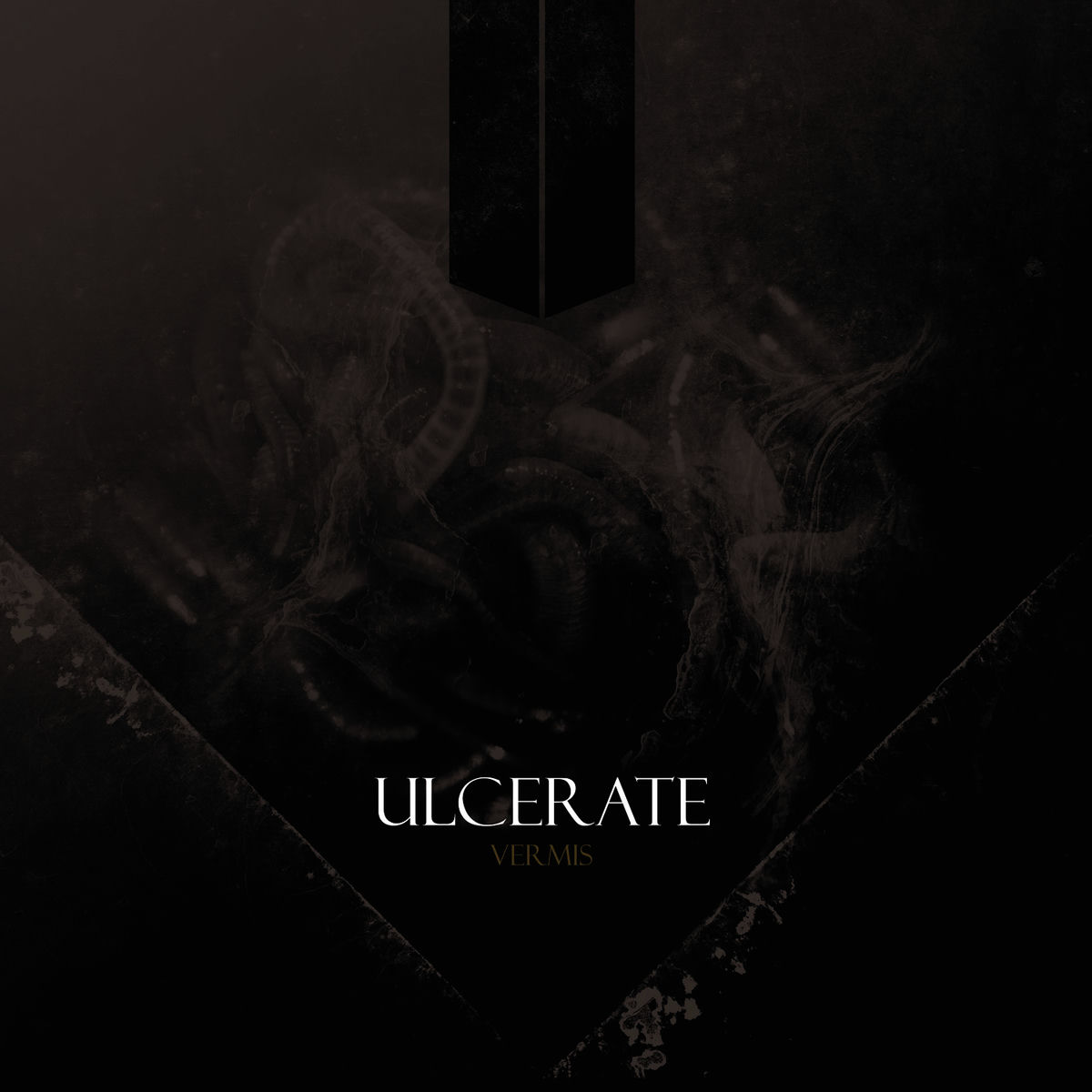 Album cover of Vermis