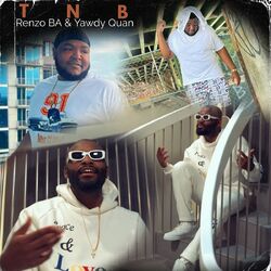 Cover of Tnb