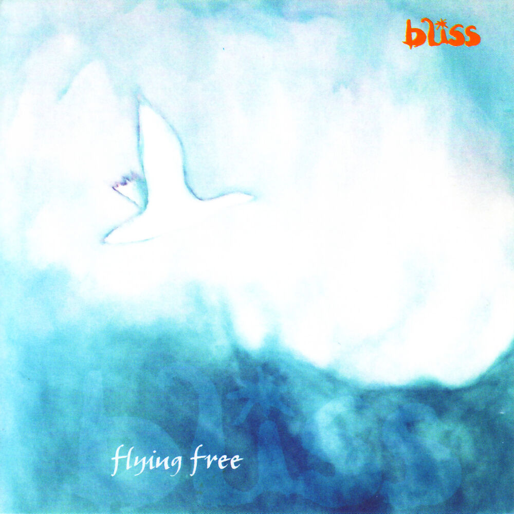 Picture of Flying Free