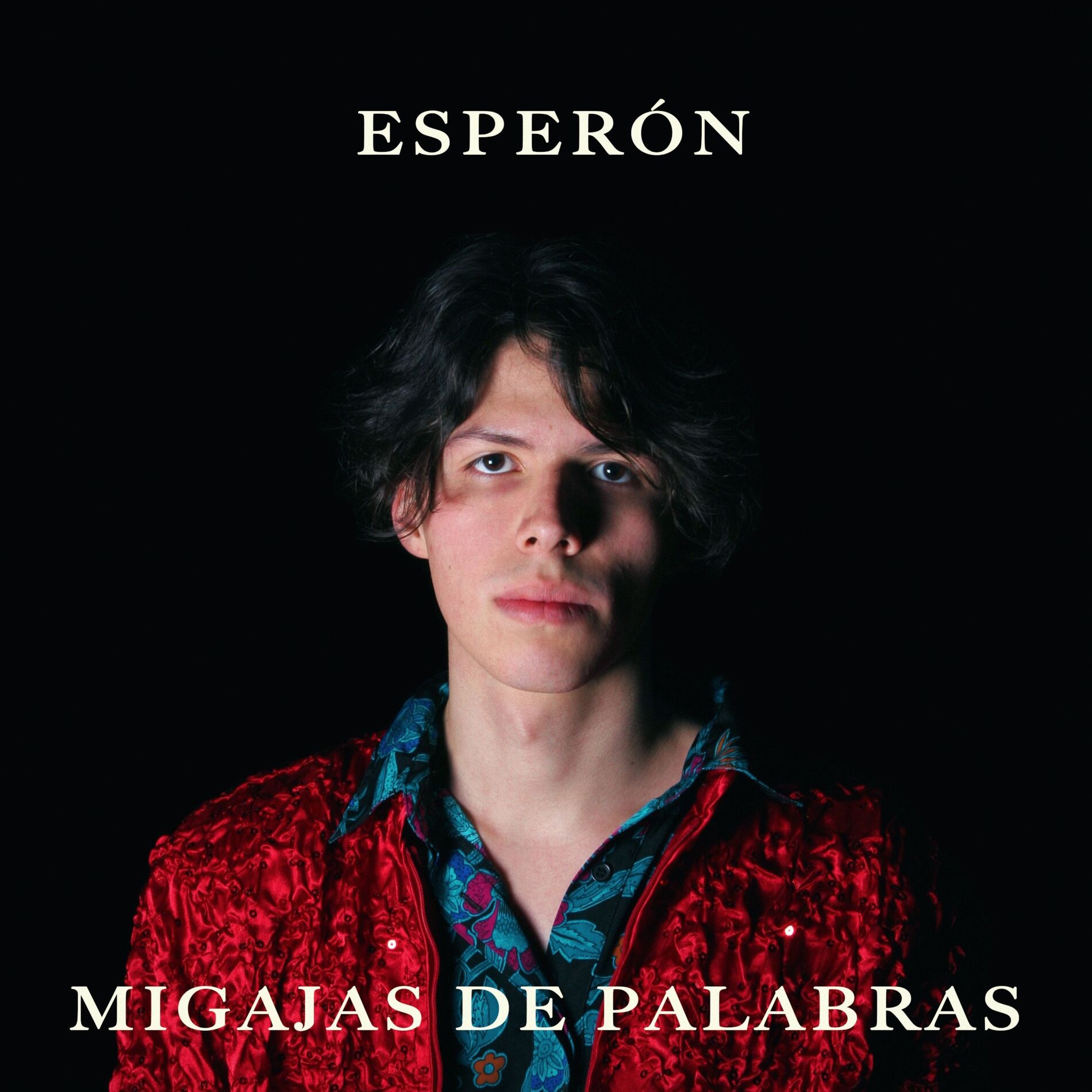 Album cover of Migajas de Palabras