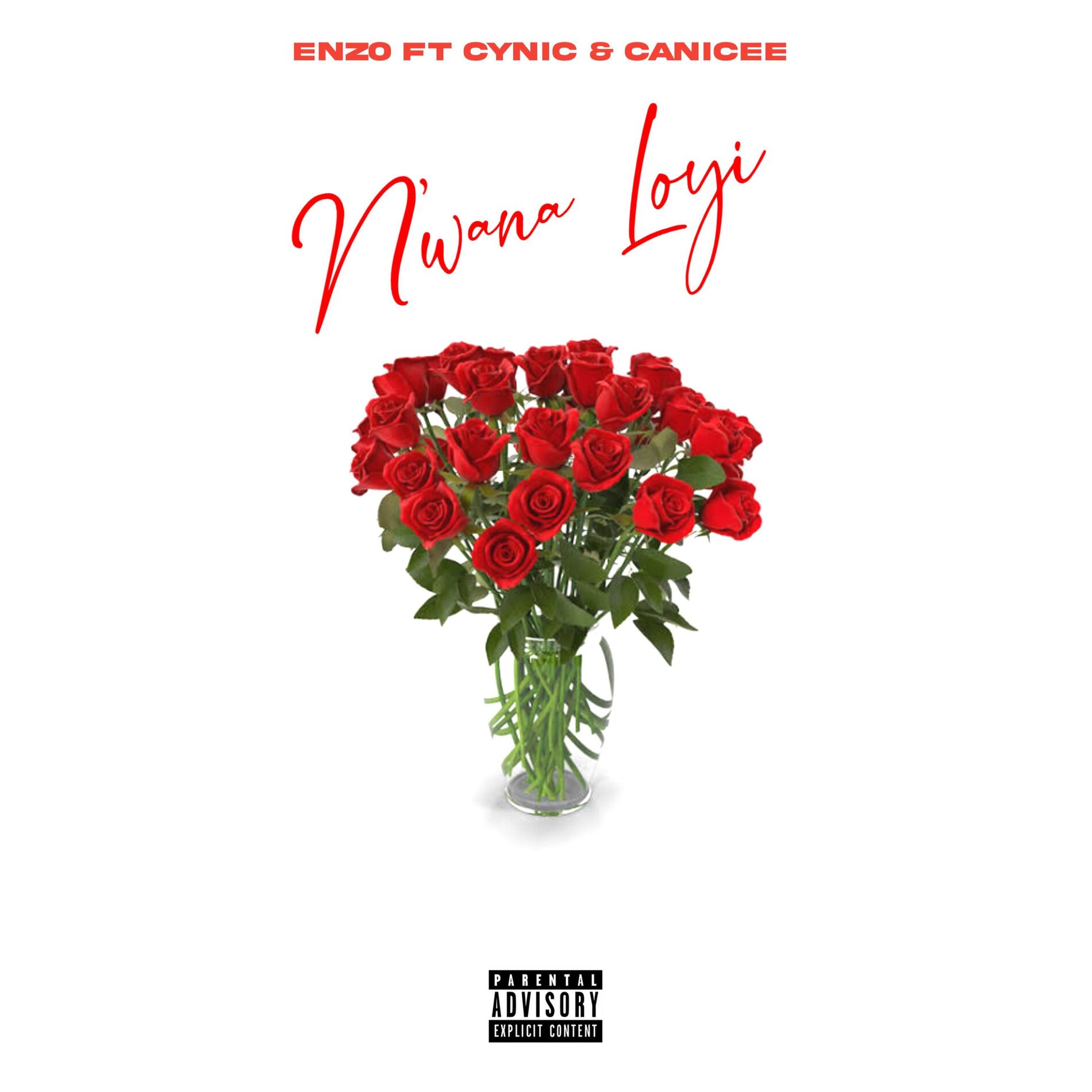 Album cover of N'wana-Loyi (feat. Cynic & Canicee)