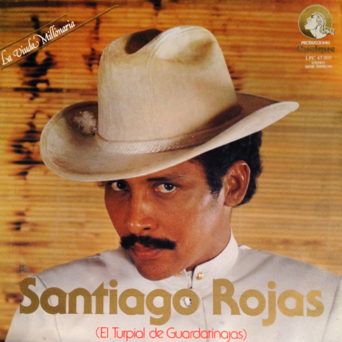 Album cover of La Viuda Millonaria