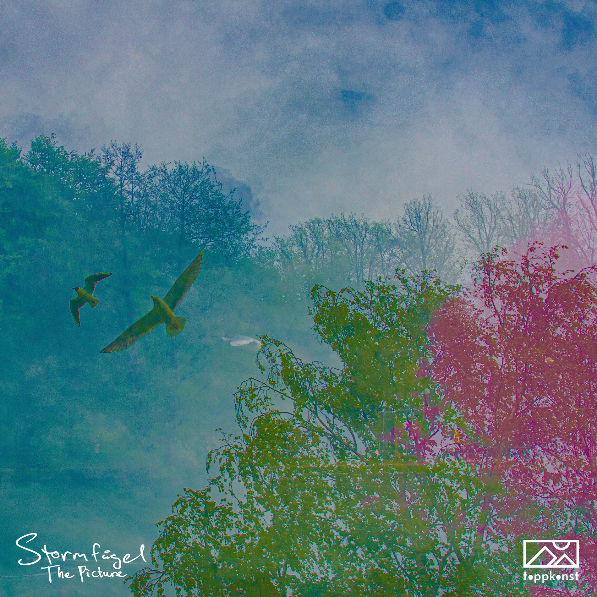 Album cover of The Picture