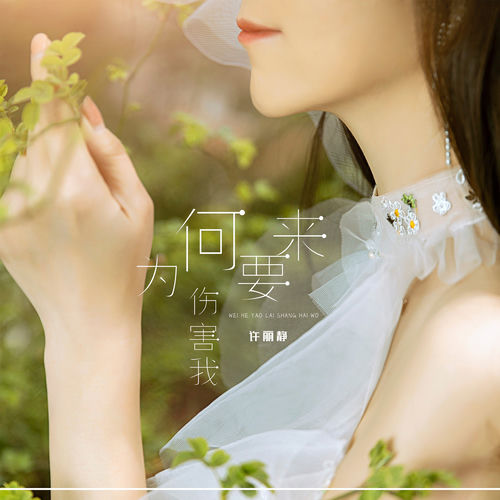 为何要来伤害我