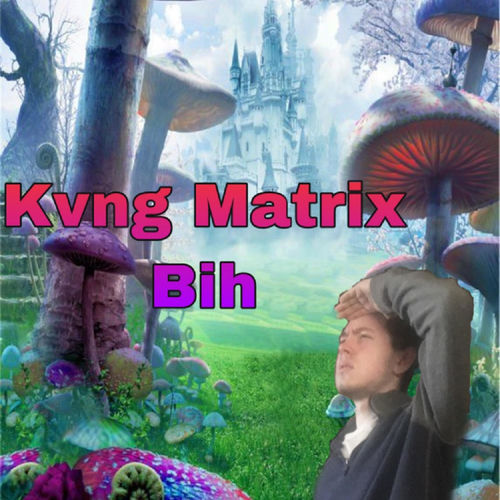 Bih