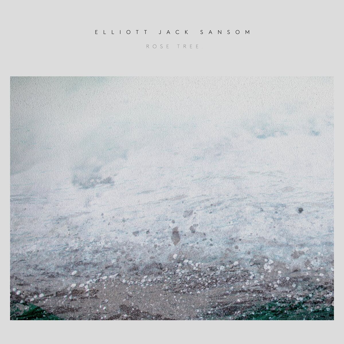 Album cover of Rose Tree
