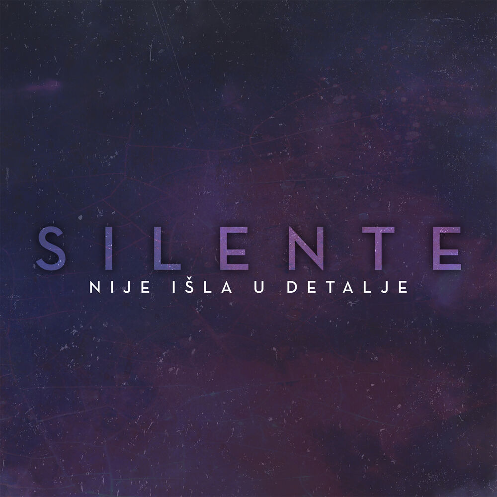 Picture of NIJE IŠLA U DETALJE (RADIO EDIT)