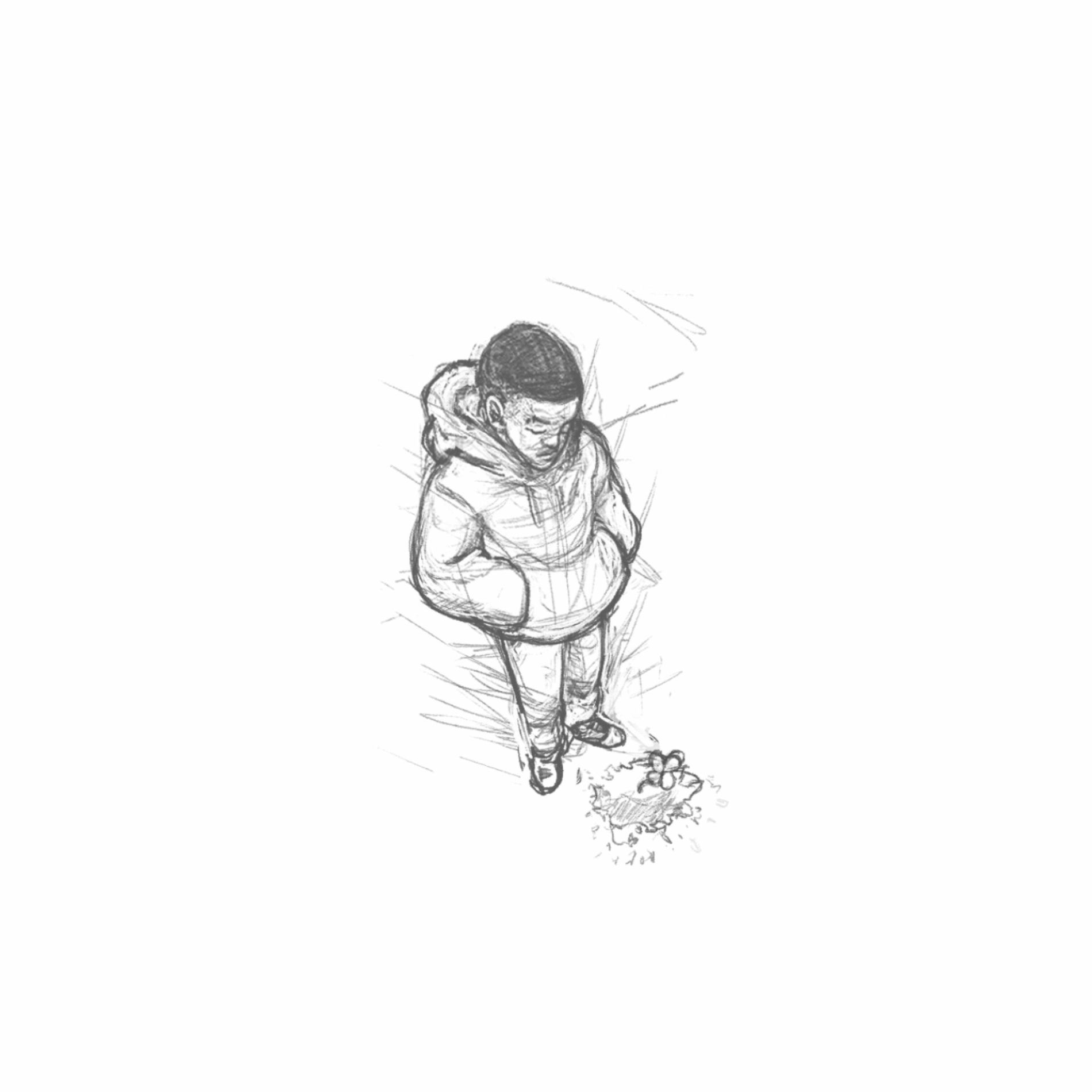 Album cover of A Seedling of Hope