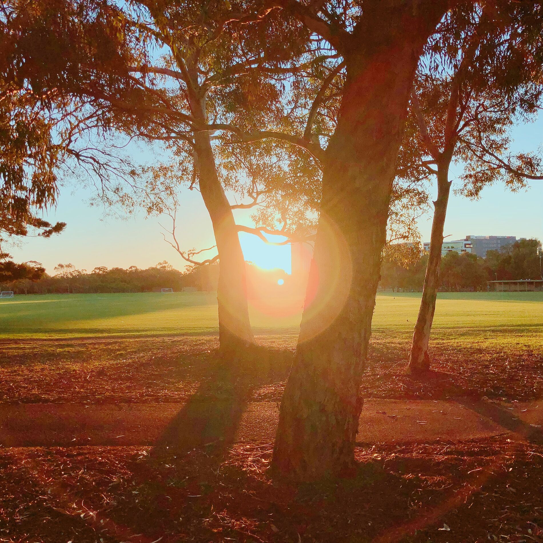 Album cover of Still