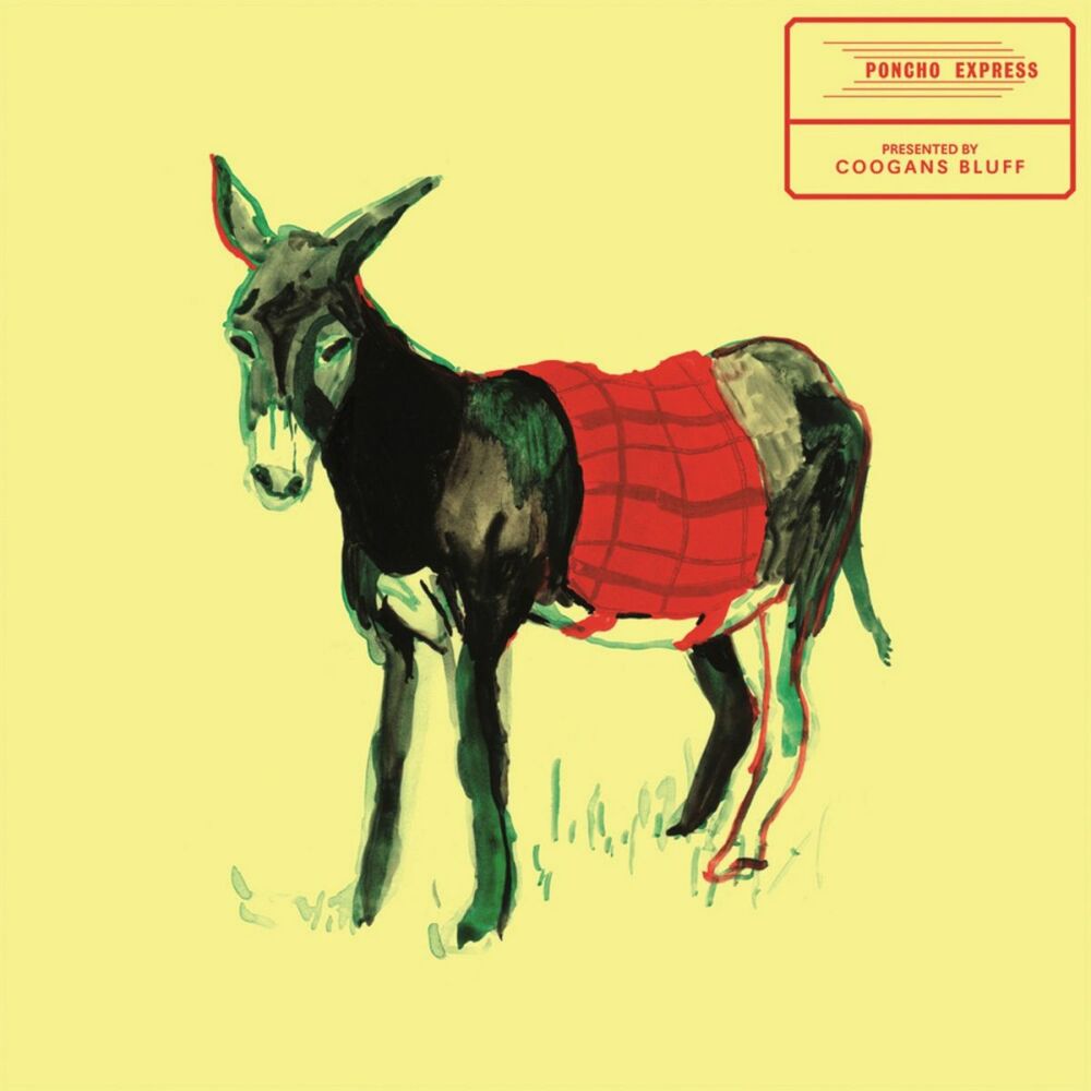 Picture of Poncho Express