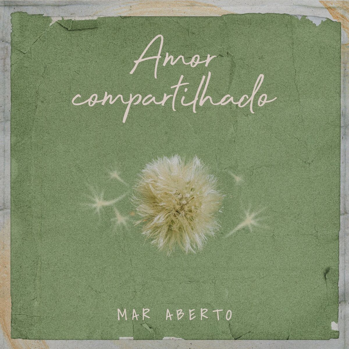 Album cover of Amor Compartilhado