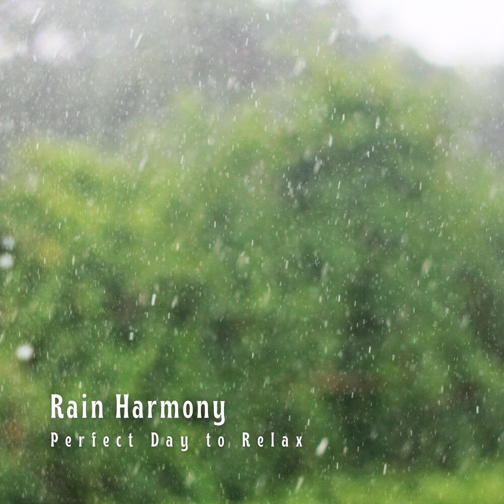 Picture of Rain Harmony: Perfect Day to Relax
