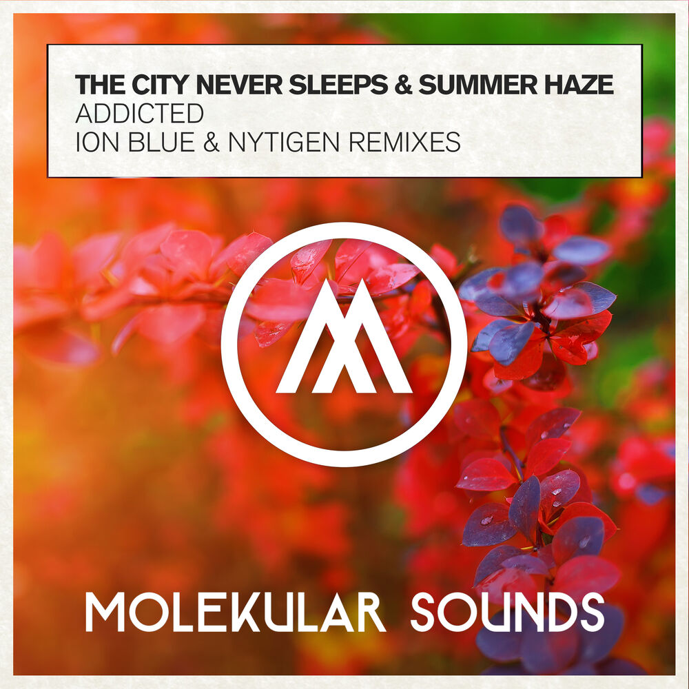Picture of Addicted (The Remixes)