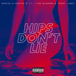 Cover of Hips Don't Lie