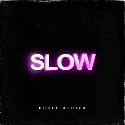 Cover of Slow