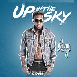 Cover of Up In The Sky