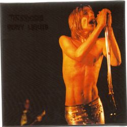 Cover of Heavy Liquid