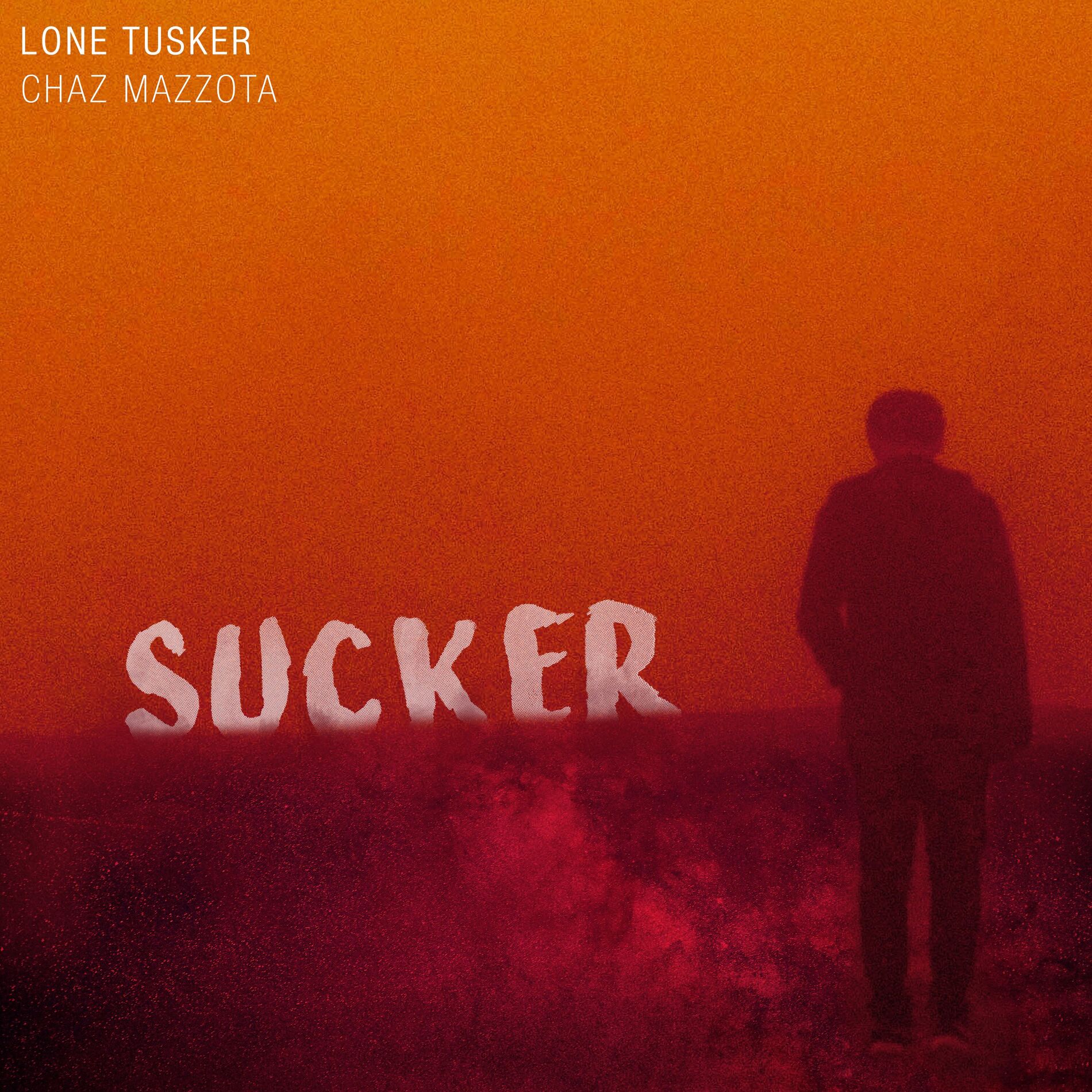 Album cover of Sucker