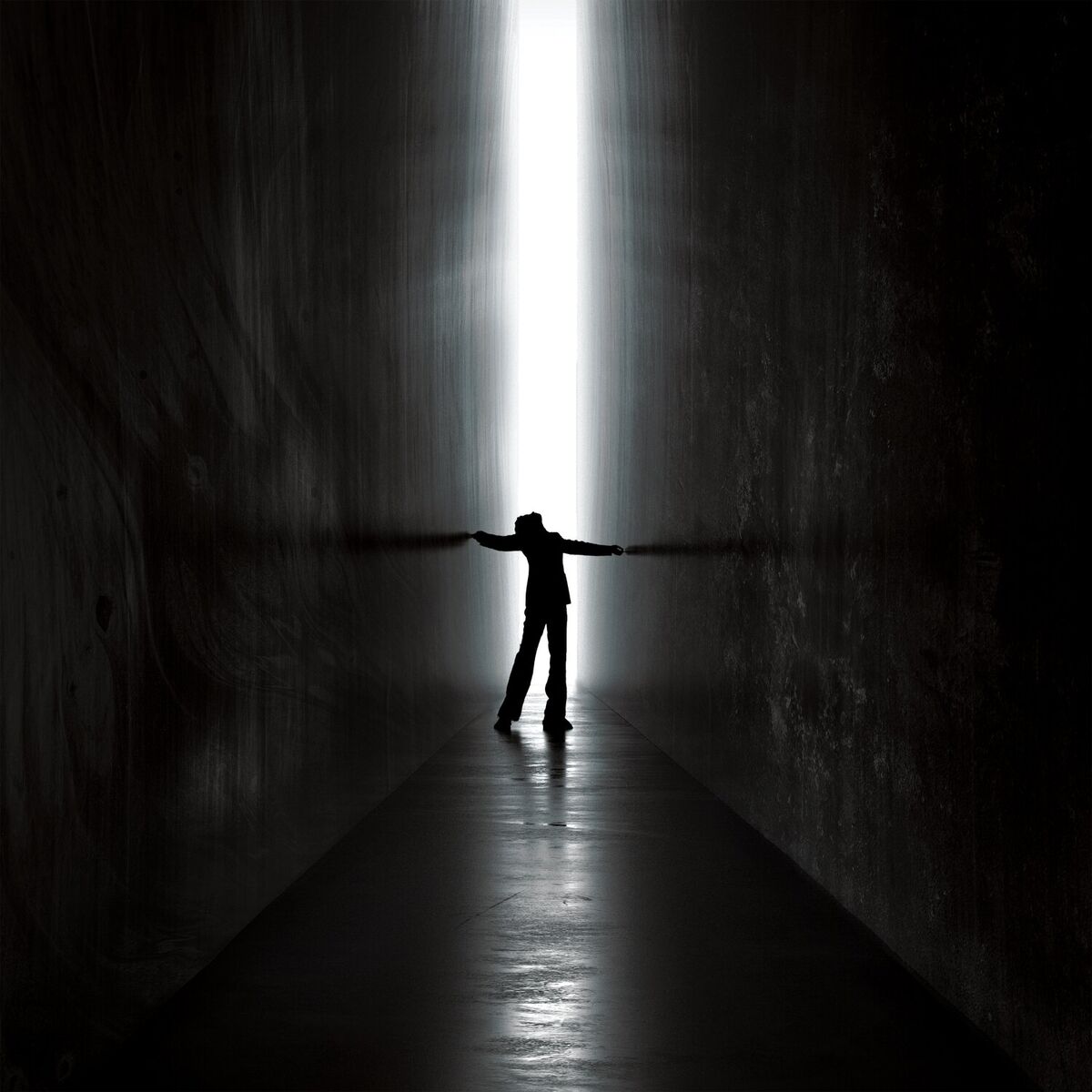 Album cover of Walls