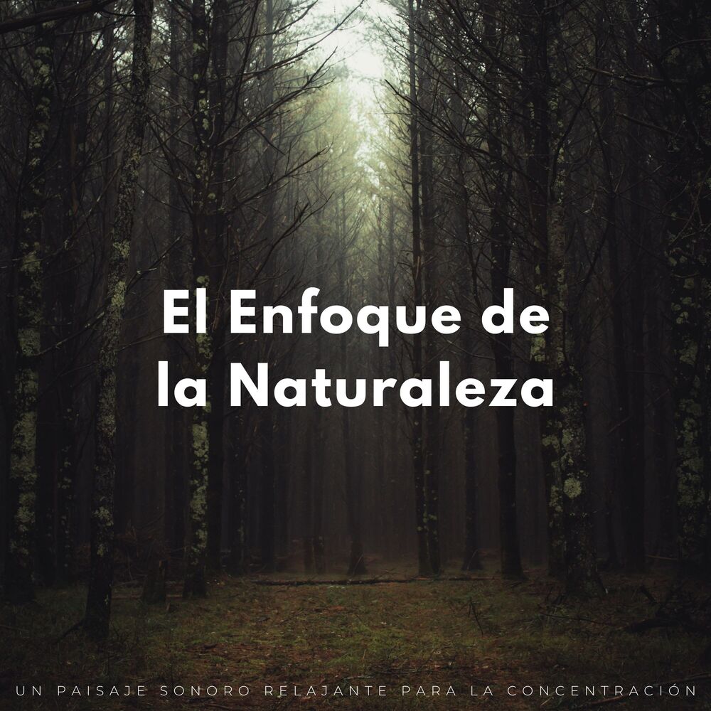 Picture of El Enfoque De La Naturaleza: Un Paisaje Sonoro Relajante Para La Concentración